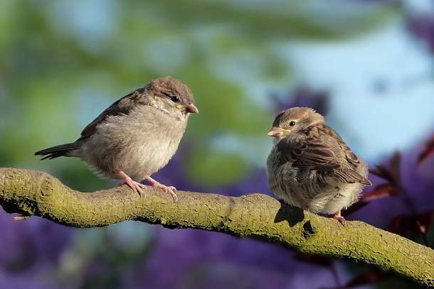 Der Frühling kommt und bleibt erst einmal