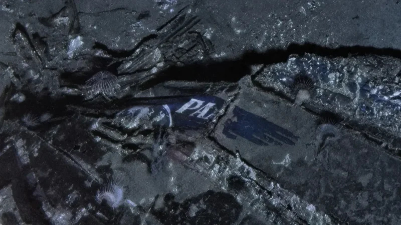 Pan-Am-Wrack nach 74 Jahren entdeckt