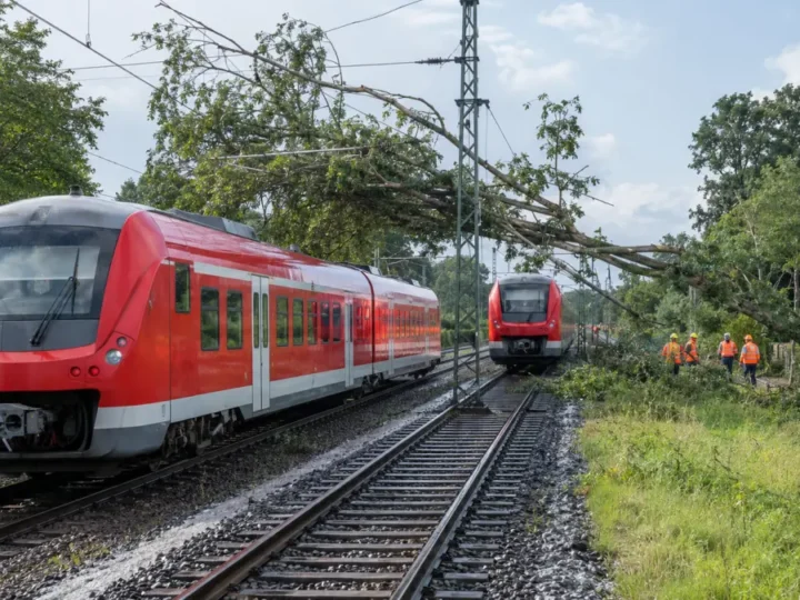 Zwei Regionalzüge nach Baumsturz evakuiert